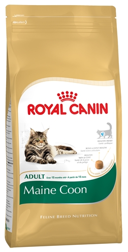 ROYAL CANIN MAINE COON 10 KG ROYAL CANIN DROOGVOER KAT