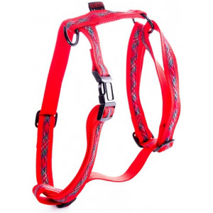 HONDENTUIG BENTON NYLON RUIT ROOD 16 MM MARTIN SELLIER HALSBANDEN/LIJNEN NYLON HOND