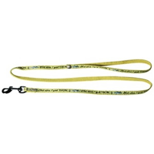 LOOPLIJN KAT RIGOLOS NYLON GEEL 10 MMX100 CM MARTIN SELLIER HALSBANDEN/LIJNEN NYLON KAT