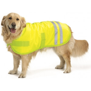 BEEZTEES HONDENJAS VEILIGHEIDSVEST TEDDY REFLECT GEEL 50 CM BEEZTEES KLEDING HOND