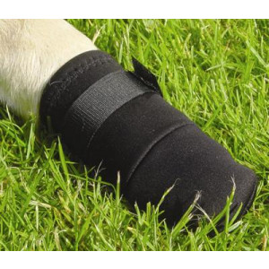 POOTBESCHERMING EASY FIT S MERKLOOS KLEDING HOND