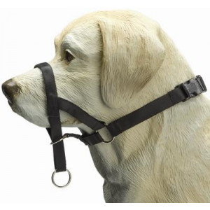 DOG CONTROL BOXER/KORTE NEUS ZWART  MERKLOOS HALSBANDEN/LIJNEN NYLON HOND