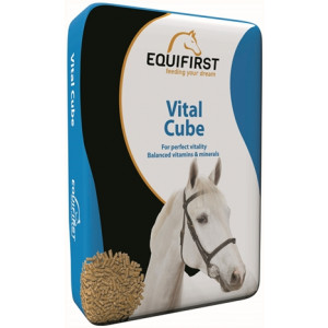 EQUIFIRST VITAL CUBE 20 KG EQUIFIRST DROOGVOER RUITERSPORT