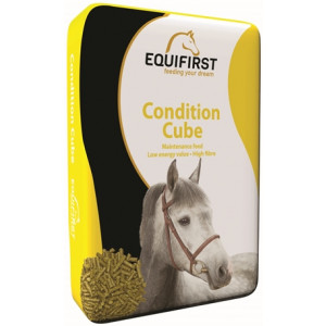 EQUIFIRST CONDITION CUBE 20 KG EQUIFIRST DROOGVOER RUITERSPORT