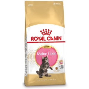 ROYAL CANIN KITTEN MAINE COON 4 KG ROYAL CANIN DROOGVOER KAT
