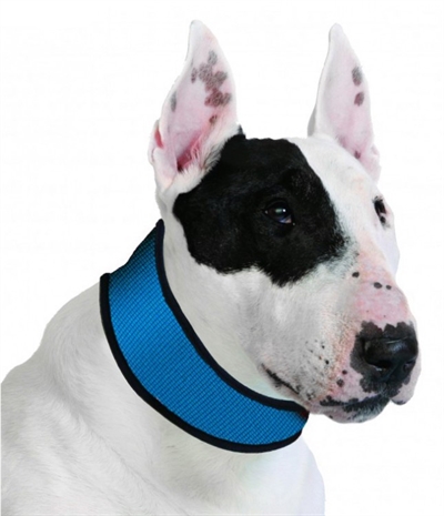 HALSBAND AQUA COOLKEEPER PACIFIC BLUE 33-43X6 CM AQUA COOLKEEPER HALSBANDEN/LIJNEN OVERIG HOND