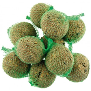 MEZENBOLLEN 100 ST MERKLOOS WINTER TUIN
